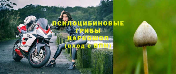твердый Киреевск