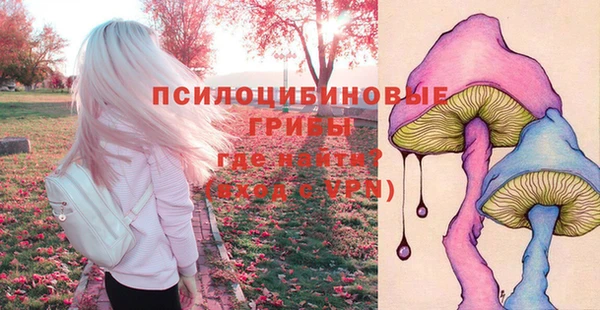 твердый Киреевск