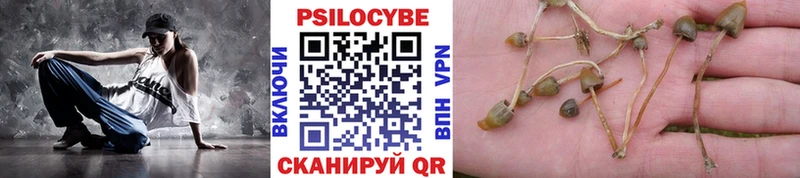 Псилоцибиновые грибы ЛСД  mega ТОР  Чухлома  продажа наркотиков 